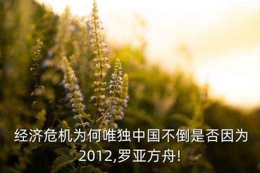  經濟危機為何唯獨中國不倒是否因為2012,羅亞方舟!