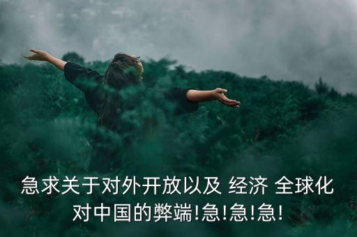 中國參與經(jīng)濟全球化的反思,反思經(jīng)濟全球化社會透視討論