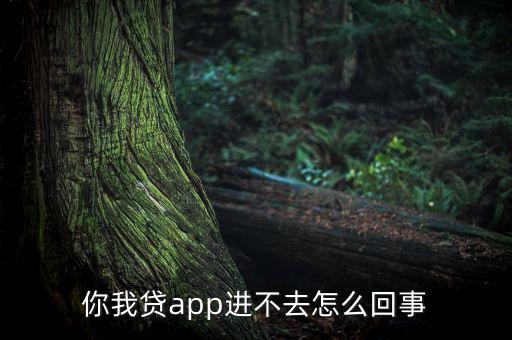 你我貸app進(jìn)不去怎么回事