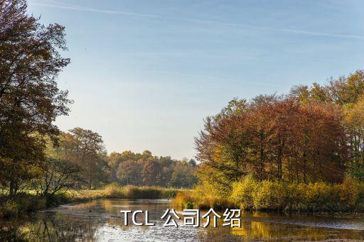 TCL 公司介紹