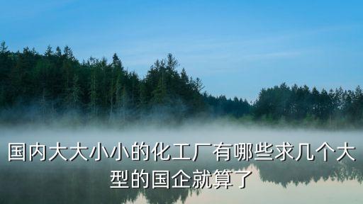 國(guó)內(nèi)大大小小的化工廠有哪些求幾個(gè)大型的國(guó)企就算了