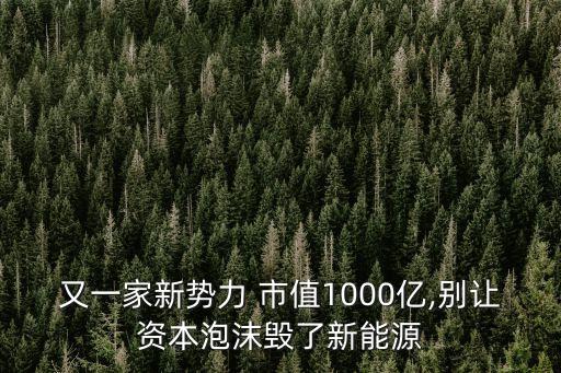 又一家新勢(shì)力 市值1000億,別讓資本泡沫毀了新能源