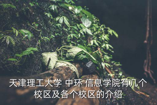 天津理工大學(xué) 中環(huán) 信息學(xué)院有幾個校區(qū)及各個校區(qū)的介紹