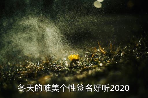 冬天的唯美個(gè)性簽名好聽2020