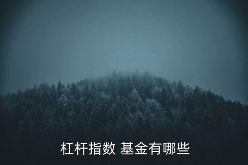  杠桿指數(shù) 基金有哪些