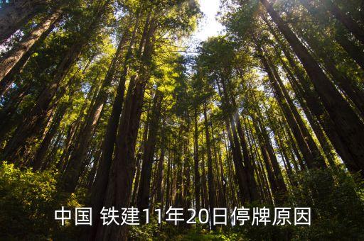 中國 鐵建11年20日停牌原因