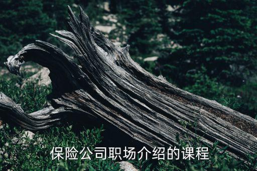  保險(xiǎn)公司職場(chǎng)介紹的課程