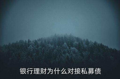  銀行理財為什么對接私募債