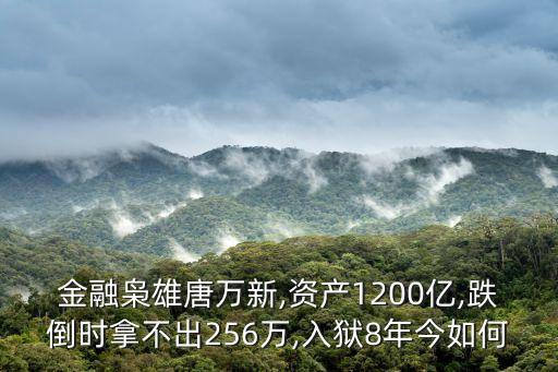 金融梟雄唐萬新,資產(chǎn)1200億,跌倒時(shí)拿不出256萬,入獄8年今如何