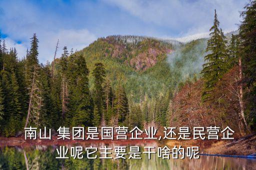  南山 集團(tuán)是國(guó)營(yíng)企業(yè),還是民營(yíng)企業(yè)呢它主要是干啥的呢