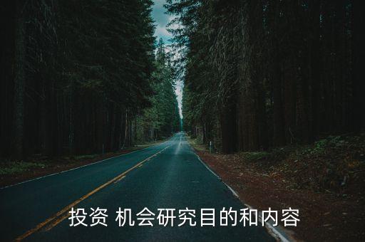  投資 機會研究目的和內(nèi)容