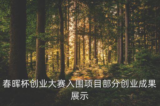 上海中南茂創(chuàng)投資有限公司