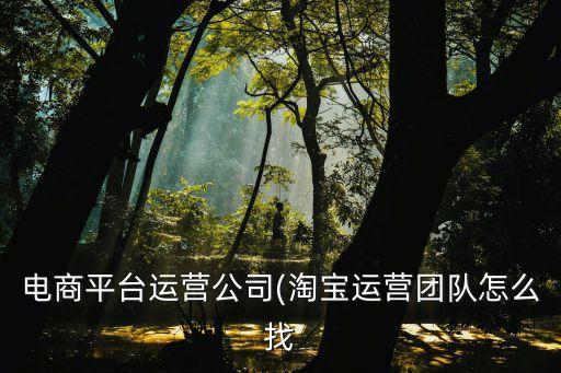 電商平臺(tái)運(yùn)營公司(淘寶運(yùn)營團(tuán)隊(duì)怎么找