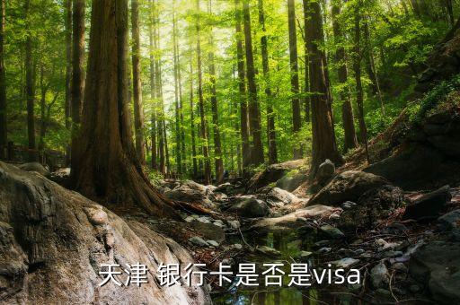 天津 銀行卡是否是visa