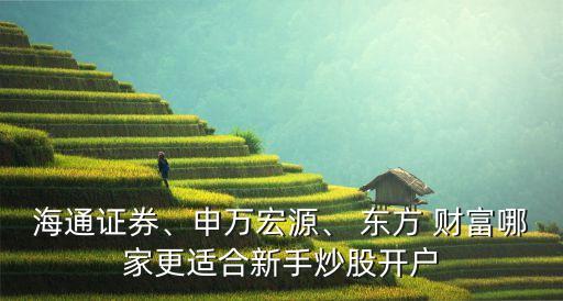 海通證券、申萬宏源、 東方 財(cái)富哪家更適合新手炒股開戶