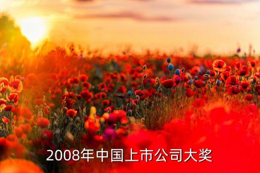 2008年中國(guó)上市公司大獎(jiǎng)