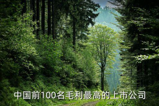 中國前100名毛利最高的上市公司