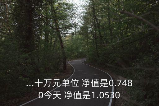 ...十萬元單位 凈值是0.7480今天 凈值是1.0530