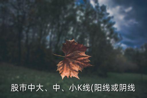 股票陽小于陰,股票二陽夾一陰好不好