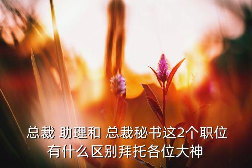 橫店集團(tuán)總裁助理,集團(tuán)總裁助理是什么級(jí)別