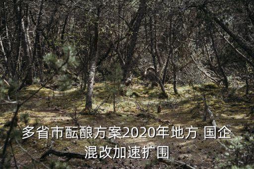 多省市醞釀方案2020年地方 國(guó)企混改加速擴(kuò)圍