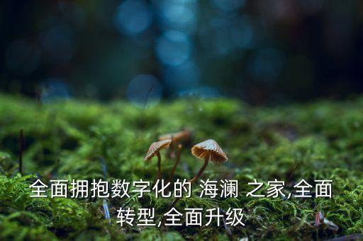 全面擁抱數(shù)字化的 海瀾 之家,全面轉(zhuǎn)型,全面升級