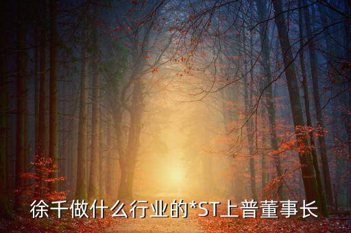 徐千做什么行業(yè)的*ST上普董事長(zhǎng)