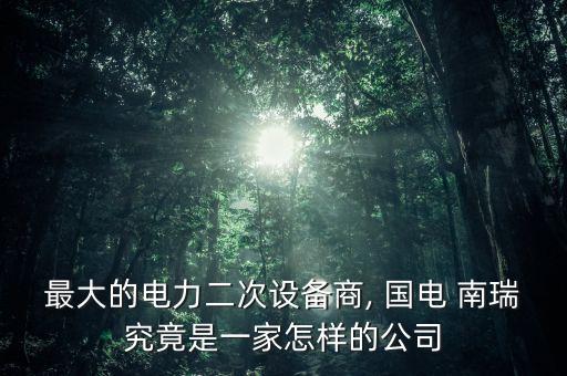 最大的電力二次設(shè)備商, 國(guó)電 南瑞究竟是一家怎樣的公司