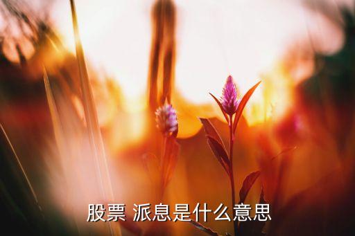  股票 派息是什么意思