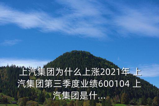  上汽集團為什么上漲2021年 上汽集團第三季度業(yè)績600104 上汽集團是什...