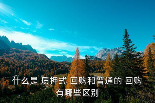 股票質押式回購是什么意思