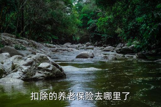 中國養(yǎng)老金去哪了,中國個人養(yǎng)老金制度