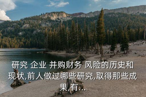 研究 企業(yè) 并購財(cái)務(wù) 風(fēng)險(xiǎn)的歷史和現(xiàn)狀,前人做過哪些研究,取得那些成果,有...