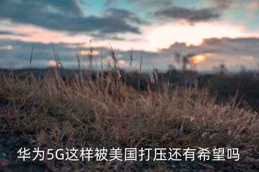 華為5G這樣被美國(guó)打壓還有希望嗎