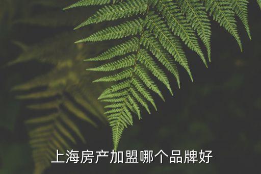 上海鴻泰房地產(chǎn)