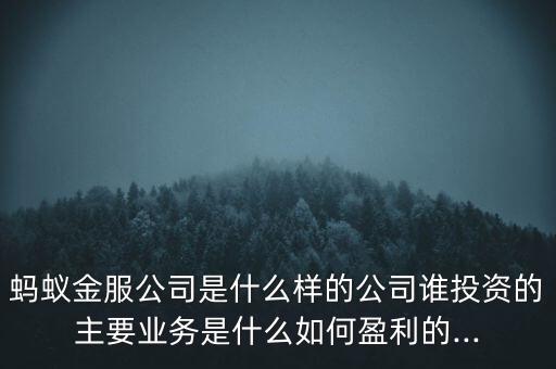 螞蟻金服公司是什么樣的公司誰投資的主要業(yè)務是什么如何盈利的...