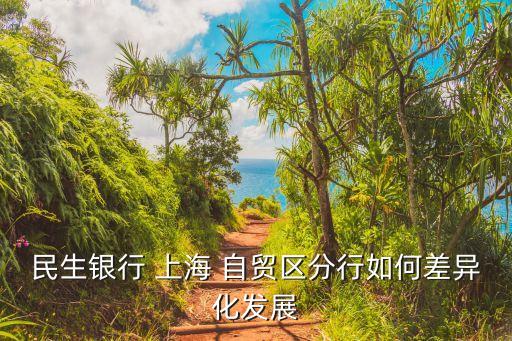 民生銀行 上海 自貿(mào)區(qū)分行如何差異化發(fā)展