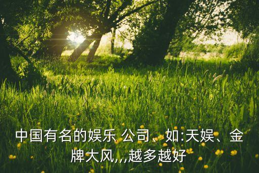 中國(guó)有名的娛樂(lè) 公司、如:天娛、金牌大風(fēng),,,越多越好