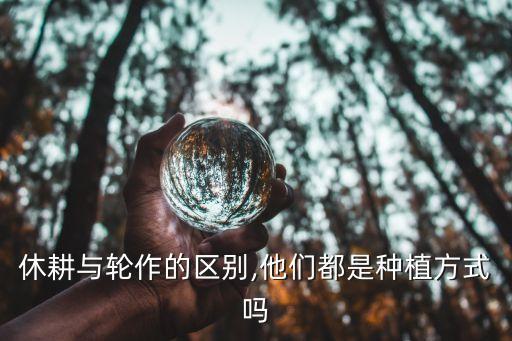 休耕與輪作的區(qū)別,他們都是種植方式嗎