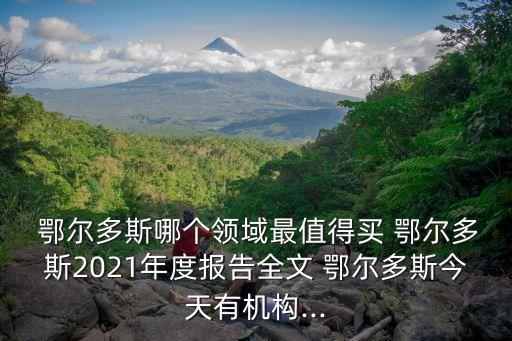  鄂爾多斯哪個領域最值得買 鄂爾多斯2021年度報告全文 鄂爾多斯今天有機構...