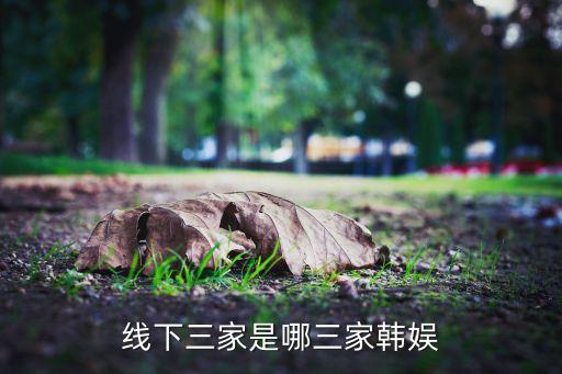 線下三家是哪三家韓娛