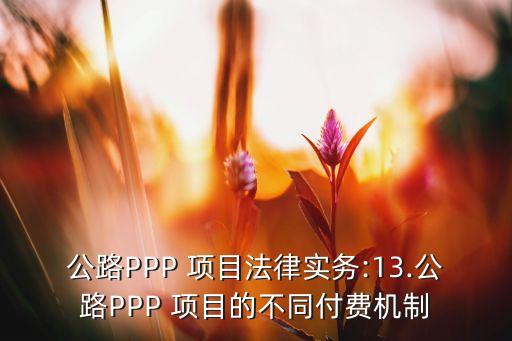 公路PPP 項(xiàng)目法律實(shí)務(wù):13.公路PPP 項(xiàng)目的不同付費(fèi)機(jī)制