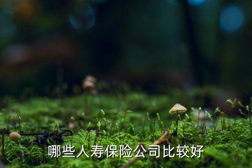 哪些人壽保險(xiǎn)公司比較好