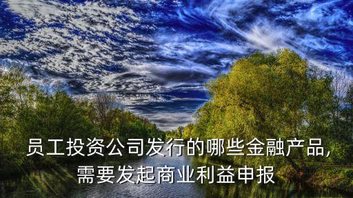  員工投資公司發(fā)行的哪些金融產(chǎn)品,需要發(fā)起商業(yè)利益申報(bào)