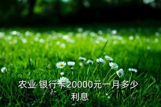 農(nóng)業(yè) 銀行卡20000元一月多少 利息