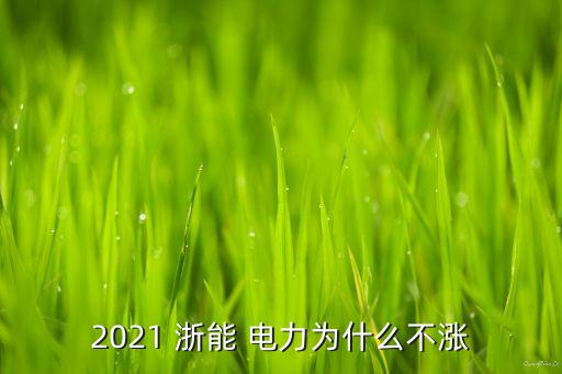 2021 浙能 電力為什么不漲