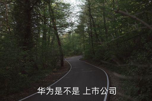  華為是不是 上市公司