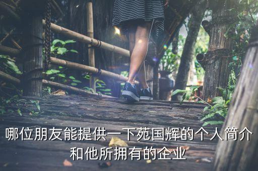 哪位朋友能提供一下苑國輝的個人簡介和他所擁有的企業(yè)