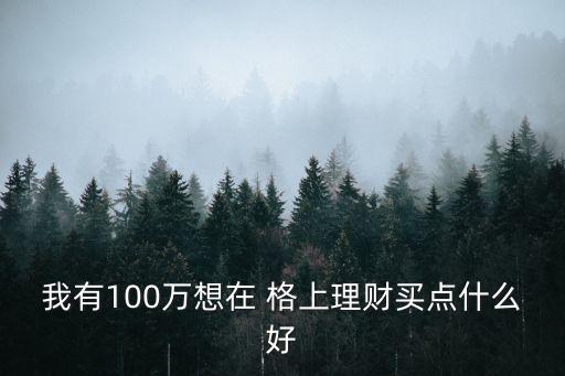 我有100萬(wàn)想在 格上理財(cái)買(mǎi)點(diǎn)什么好