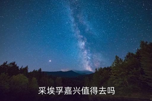 采埃孚風(fēng)電有限公司,杭州采埃孚電驅(qū)動(dòng)有限公司